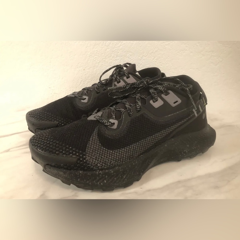 Nike Trail Pegasus 2 gore Tex shoes
